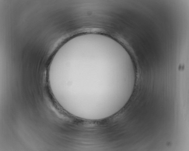 X0000111020110200906191240