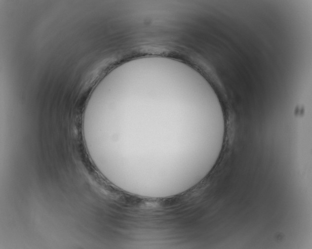 X0000111020114200906191240