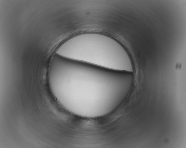 X0000111020115200906191240