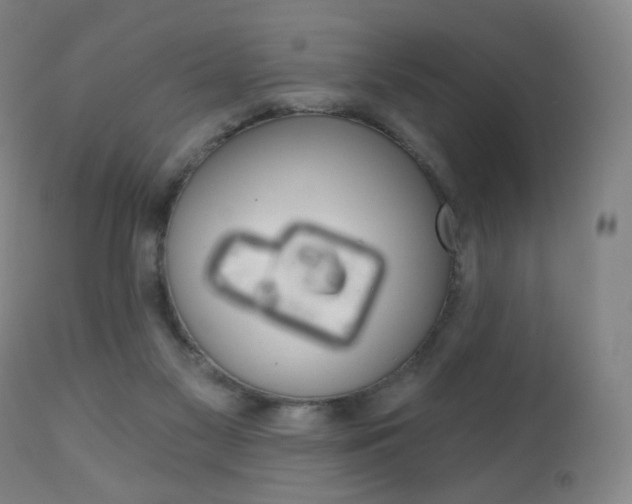 X0000111020117200906191240