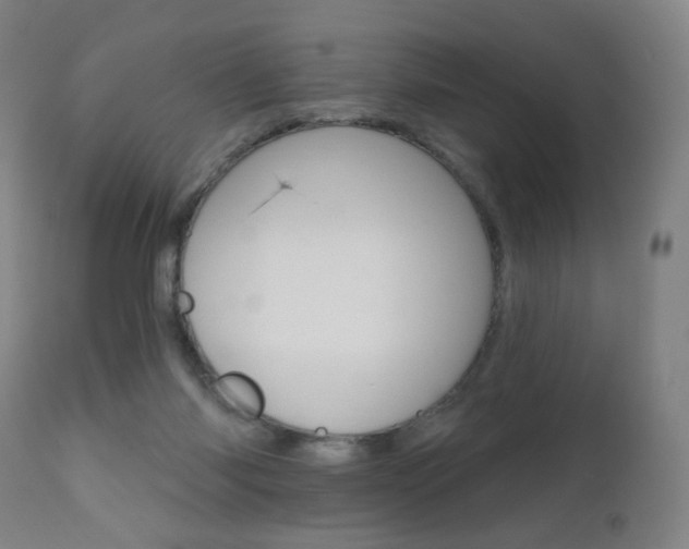 X0000111020118200906191240