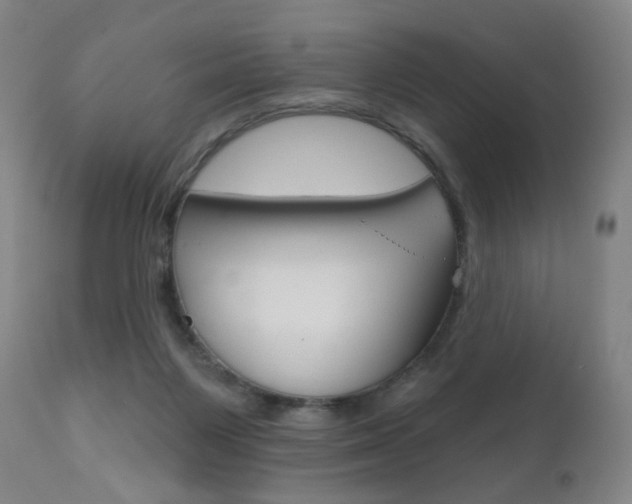 X0000111020119200906191240