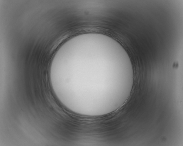 X0000111020120200906191240