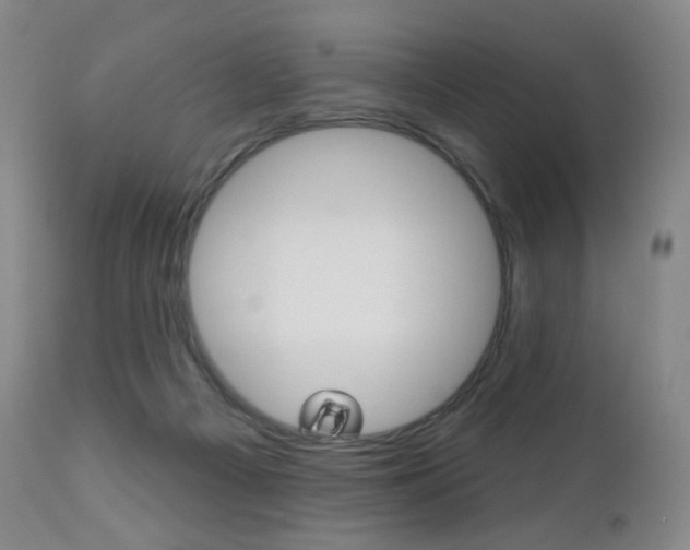 X0000111020121200906191240