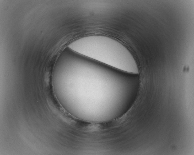X0000111020124200906191240