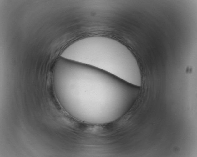 X0000111020125200906191240