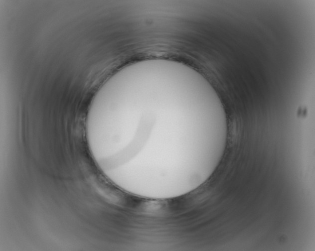 X0000111020126200906191240