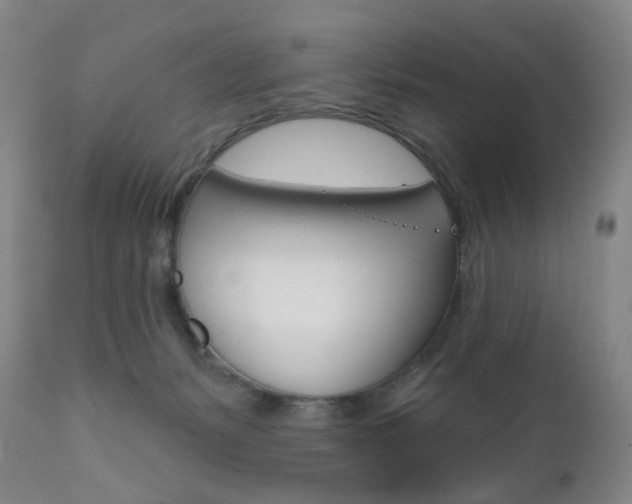 X0000111020127200906191240