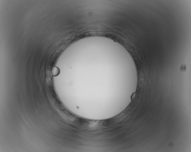 X0000111020130200906191240