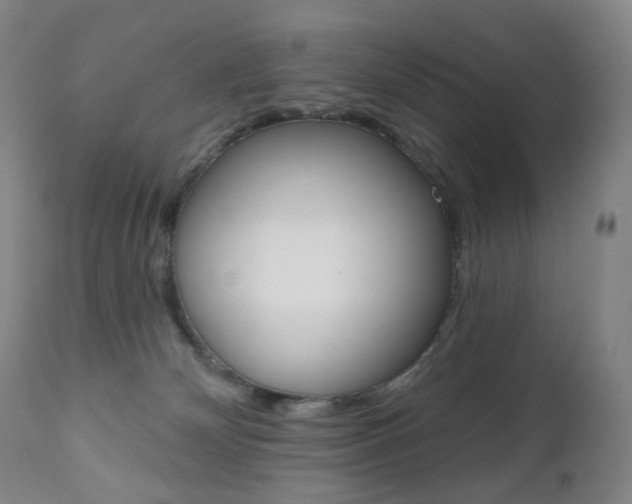 X0000111020132200906191240