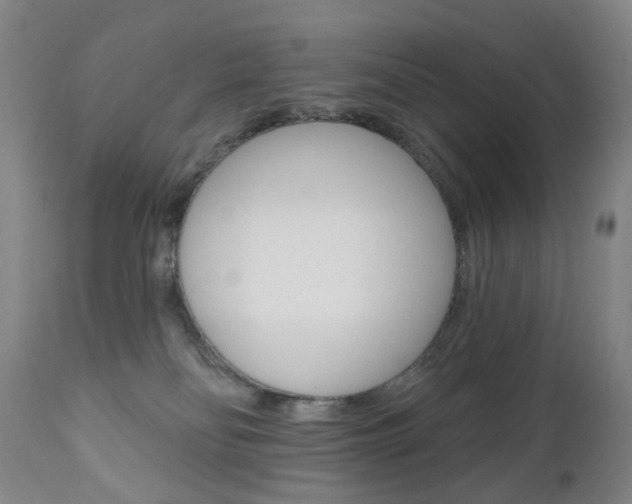 X0000111020134200906191240