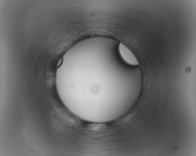 X0000111020135200906191240