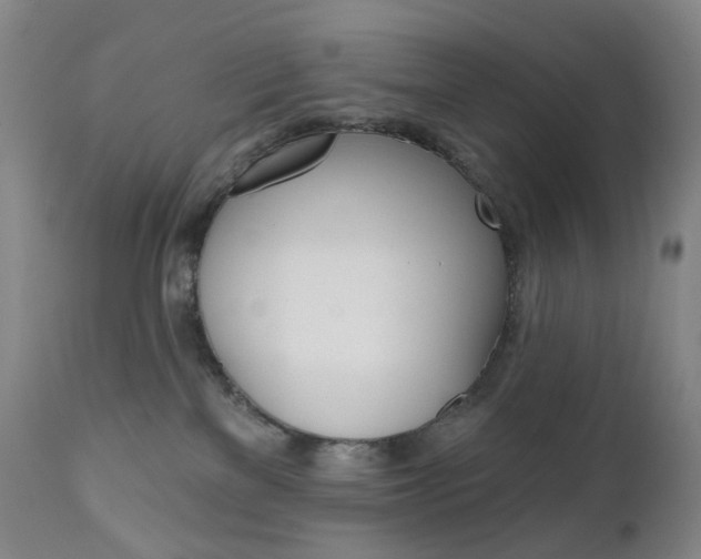 X0000111020137200906191240