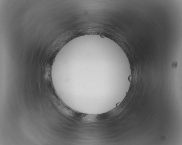 X0000111020138200906191240
