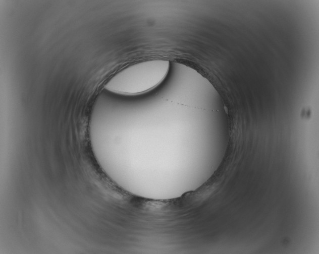 X0000111020139200906191240