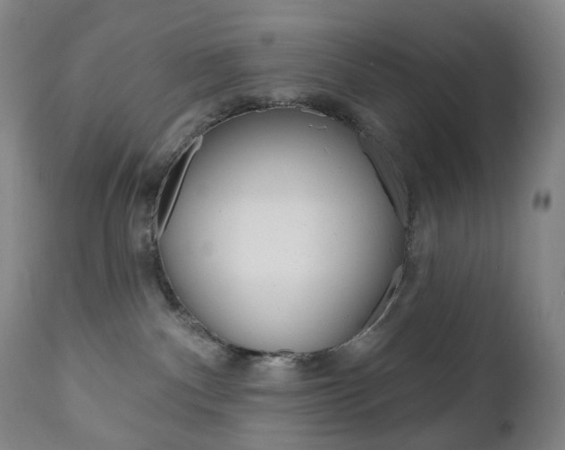 X0000111020140200906191240