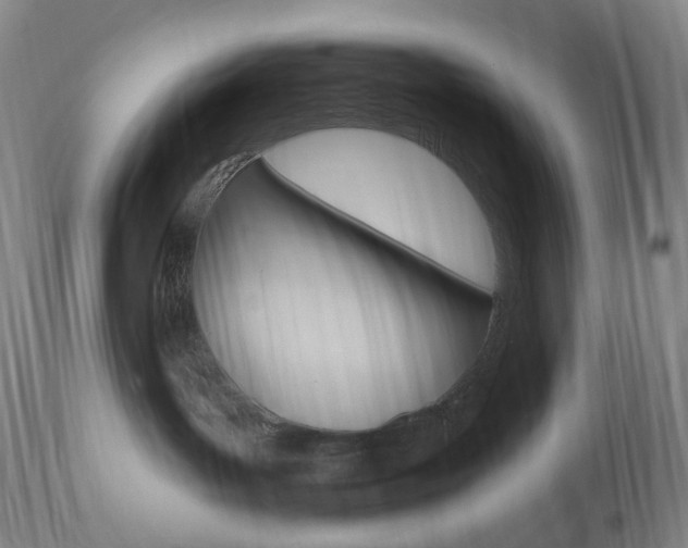 X0000111020143200906191240