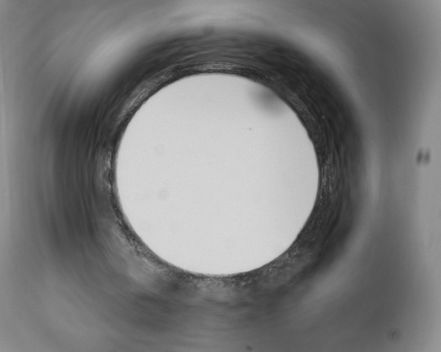 X0000111020146200906191239