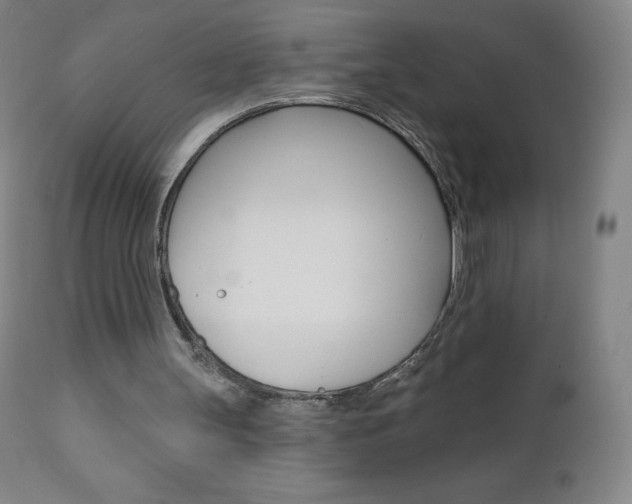 X0000111020147200906191239