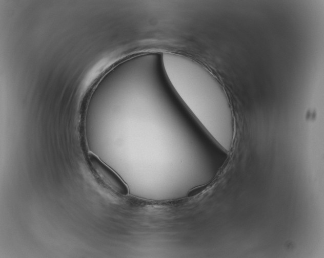 X0000111020150200906191239