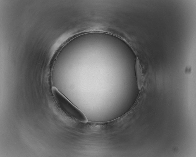 X0000111020152200906191239