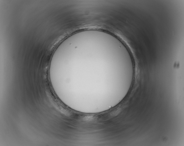 X0000111020153200906191239