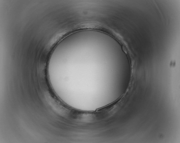 X0000111020154200906191239