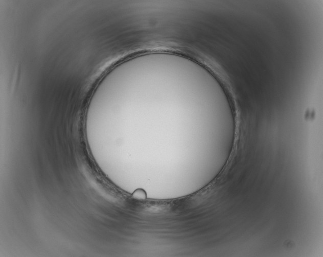 X0000111020155200906191239