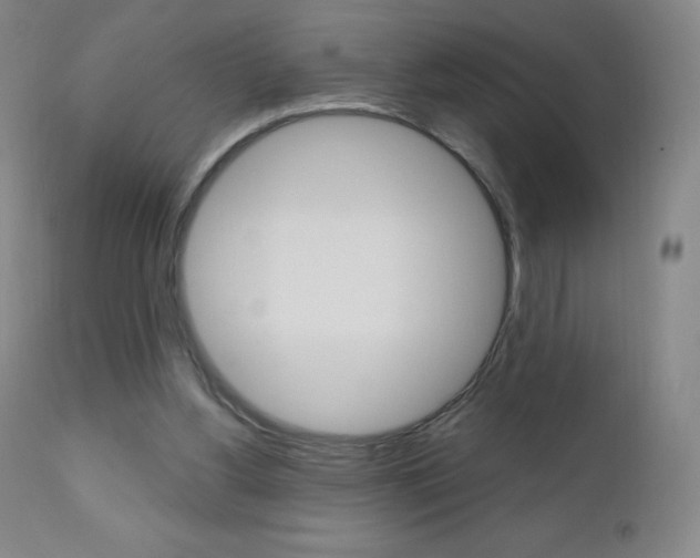 X0000111020156200906191239