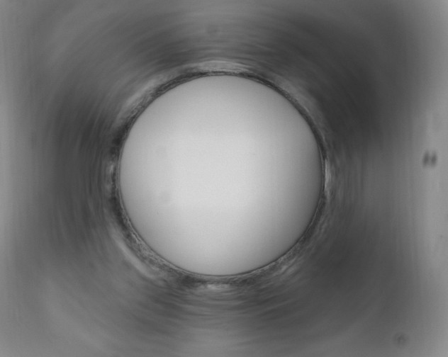 X0000111020157200906191239