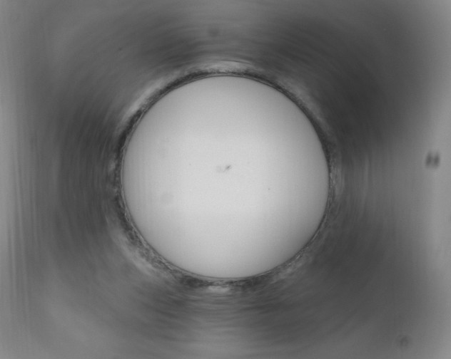 X0000111020159200906191239