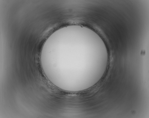 X0000111020161200906191239