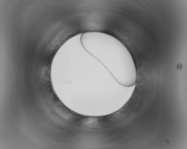 X0000111020162200906191239
