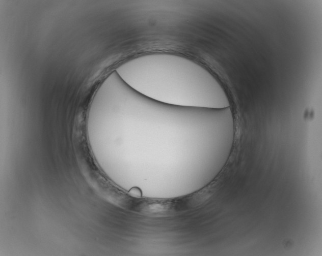 X0000111020163200906191239