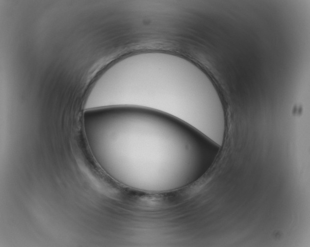 X0000111020164200906191239
