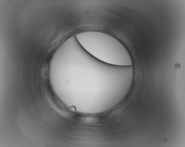 X0000111020165200906191239