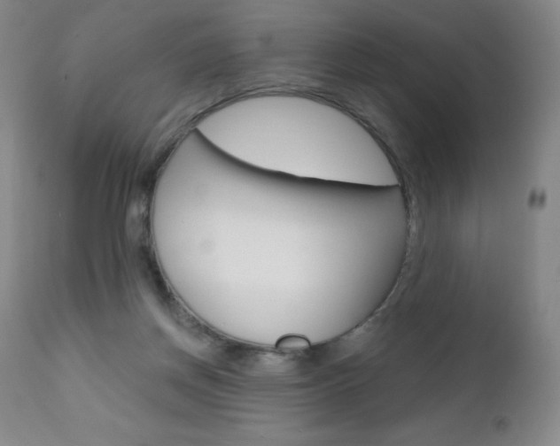 X0000111020166200906191239
