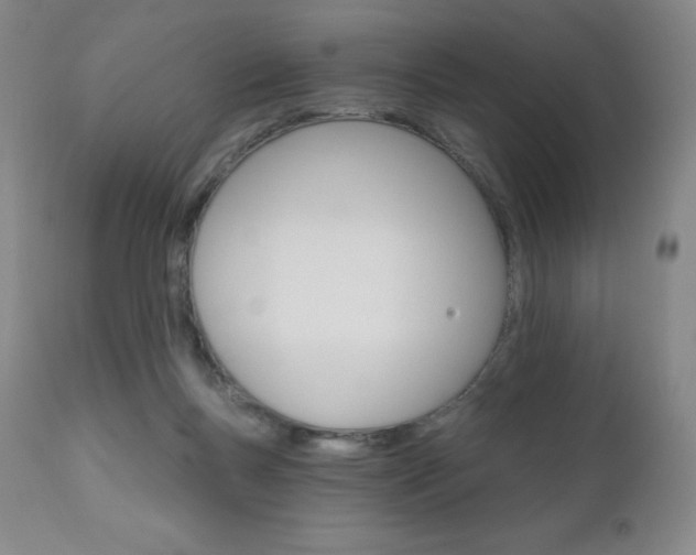 X0000111020167200906191239
