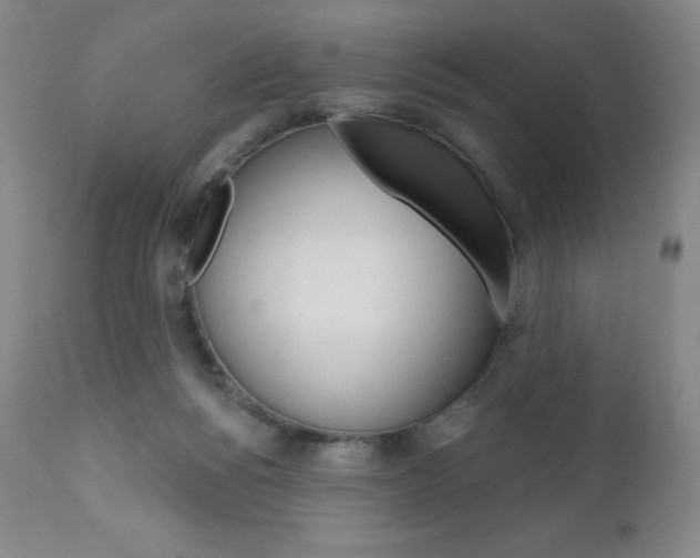 X0000111020168200906191239
