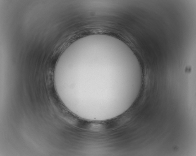 X0000111020169200906191239