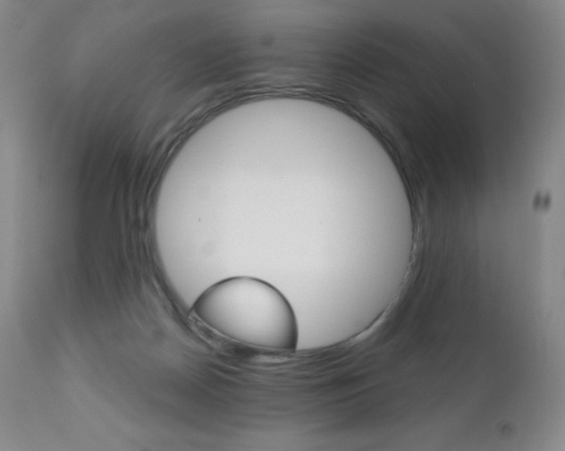 X0000111020170200906191239