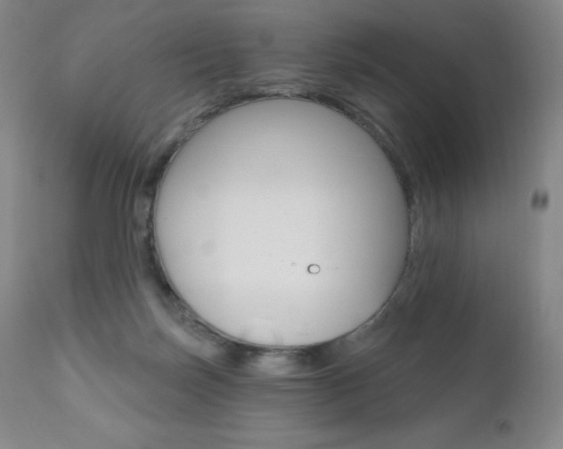 X0000111020171200906191239