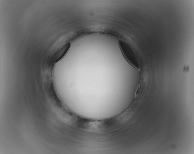 X0000111020172200906191239