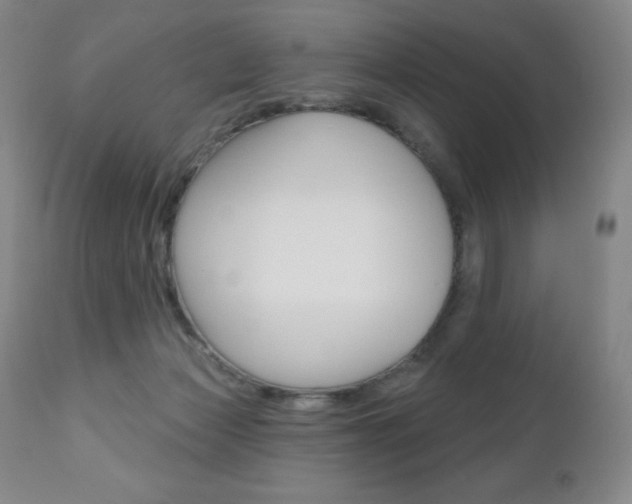 X0000111020173200906191239