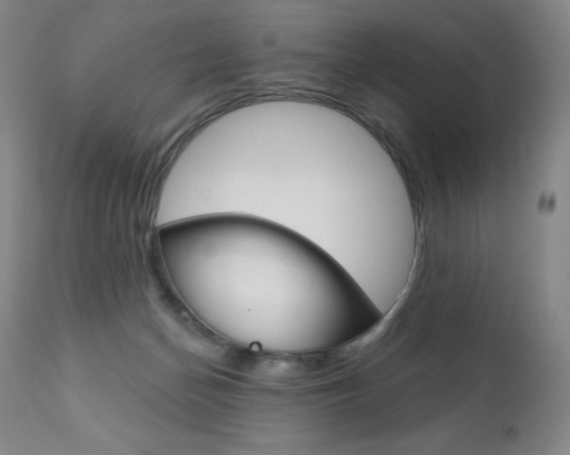X0000111020174200906191239
