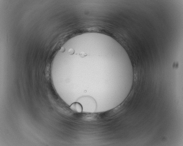 X0000111020175200906191239