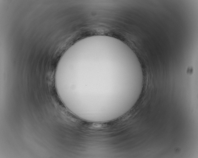 X0000111020177200906191239