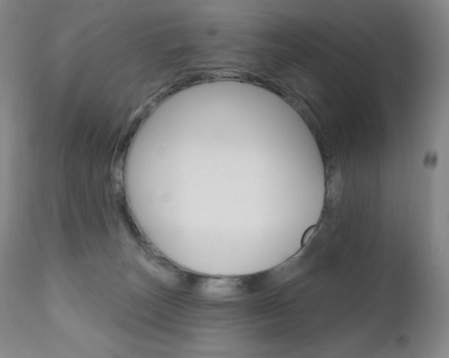 X0000111020179200906191239