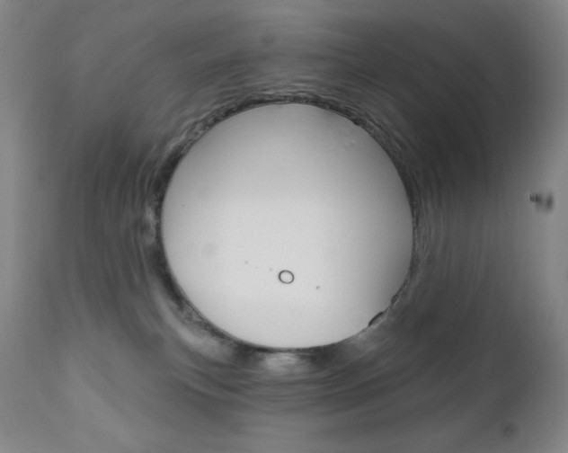 X0000111020183200906191240