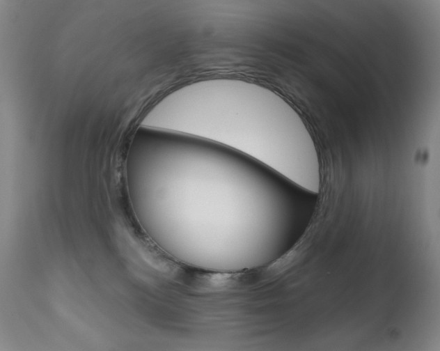 X0000111020184200906191240